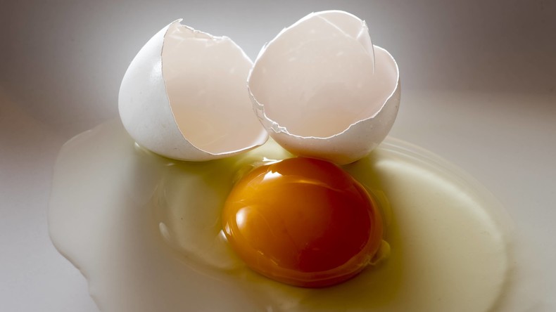 Deutschland untersagt Publikation von Daten zum Fipronil-Skandal