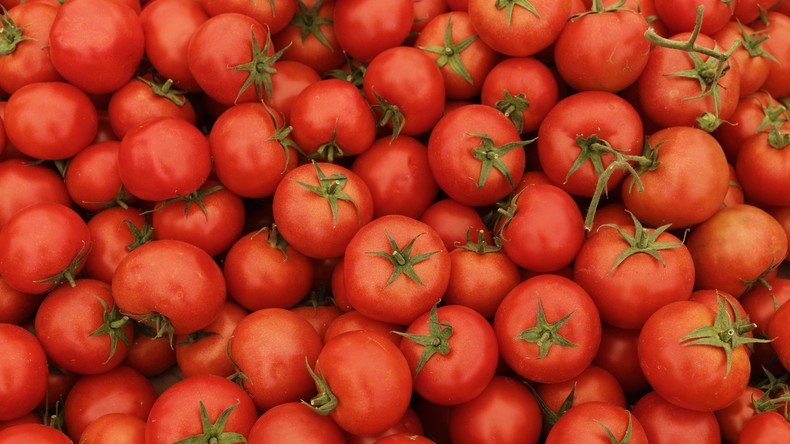 Russland hebt nach zwei Jahren Import-Verbot für türkische Tomaten auf