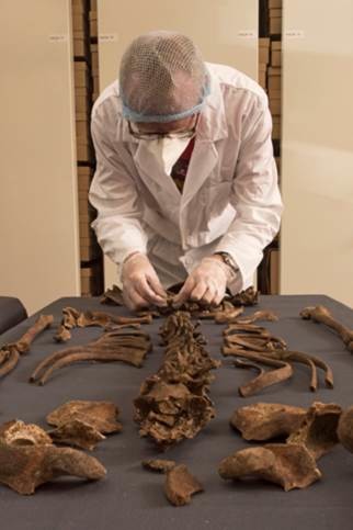 Alter Zuwandererfriedhof unter Zentrum von London entdeckt