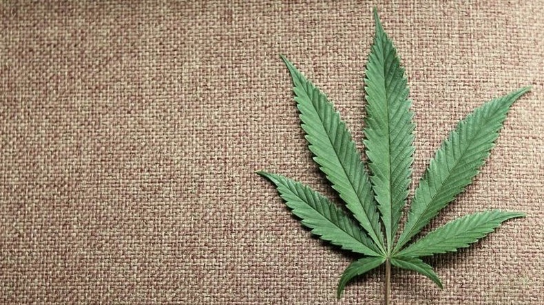 Alkohol oder Cannabis? Beides: US-Firma will Getränke mit Marihuana herstellen