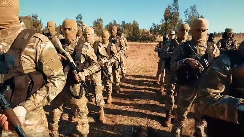 Ex-Premier von Katar: Waffenlieferungen von Saudis und USA nach Syrien gingen auch an Al-Nusra