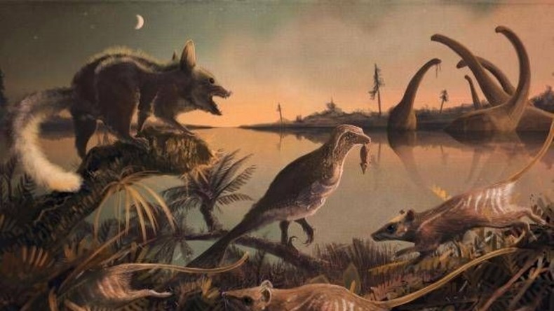 Zähne von 145 Millionen Jahre alten Verwandten des Menschen entdeckt