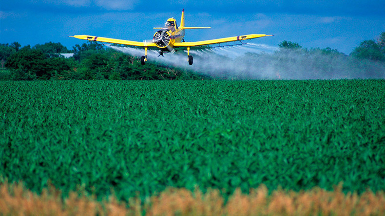 Glyphosat-Verlängerung: Folgt die Jamaika-Koalition dem Glauben Merkels an Monsanto?