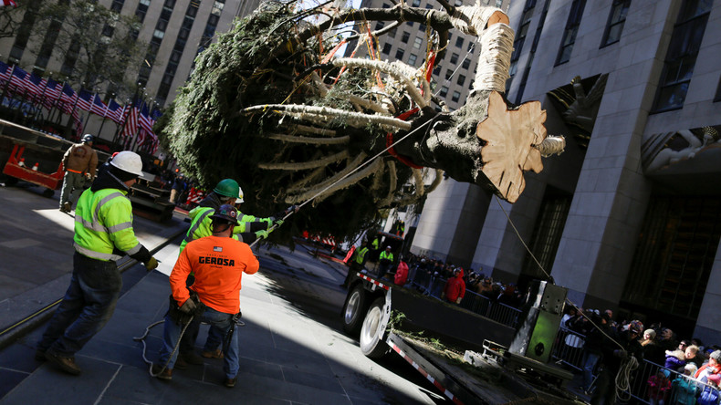 Es weihnachtet schon: Christbaum in New York aufgestellt