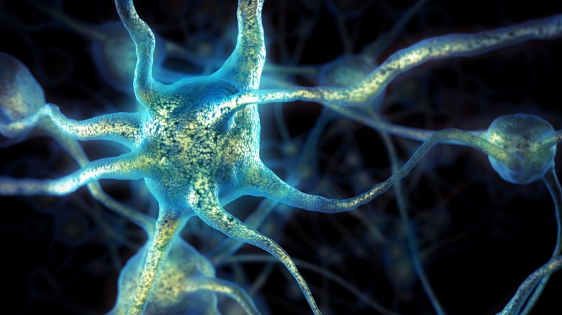 Prothese für die Grauen Zellen: Forscher setzten Gehirn-Implantate für besseres Gedächtnis ein