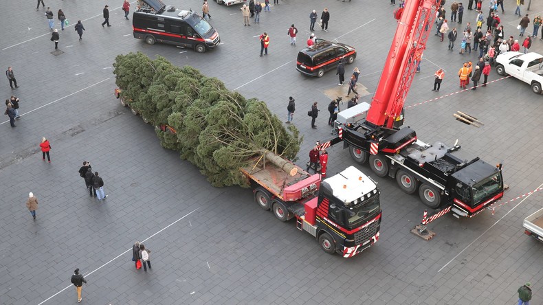 Baden-Württemberg: Übergroßer Christbaum löst Polizeieinsatz aus