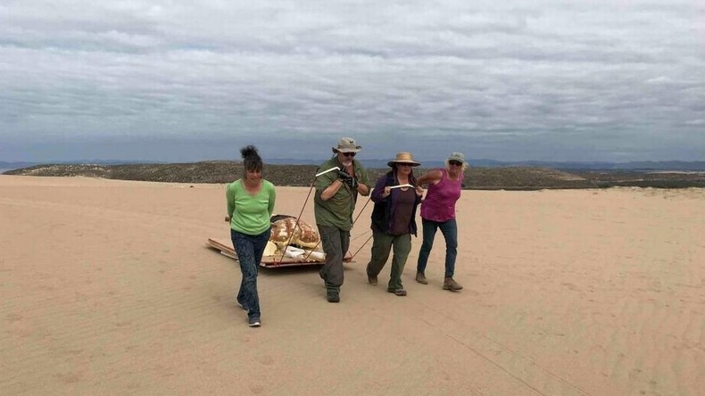 US-Archäologen graben "Sphinx"-Kopf in Kalifornien aus