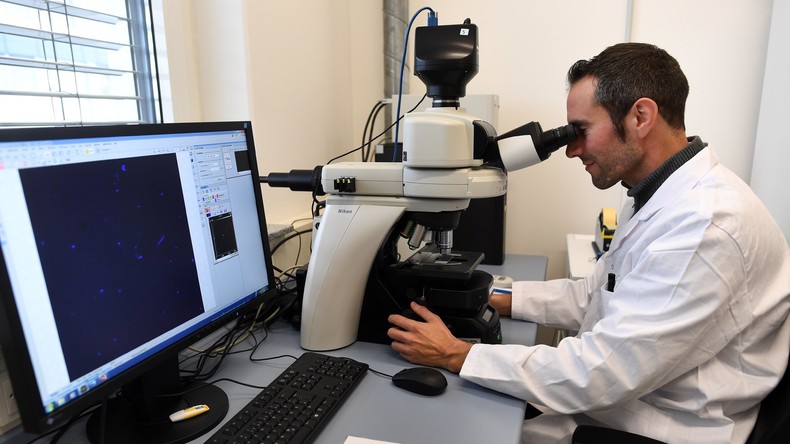 Studie: Regelmäßiges Fasten fördert Gehirnaktivität