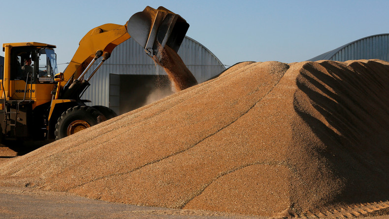 Saudi-Arabien könnte Sprungbrett für russische Agrarprodukte nach Afrika werden