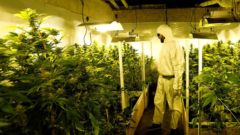 Gewächshaus für Gemüse auf dem Mars – auch für Marihuana-Anbau geeignet