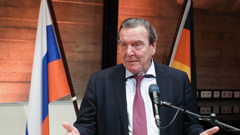 Schröder rät SPD: Möglichst schnell eine große Koalition