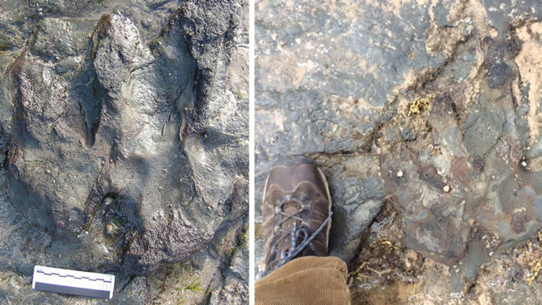 Vandalen zerschlagen 115 Millionen Jahre alten Dinosaurier-Fußabdruck mit Hammer