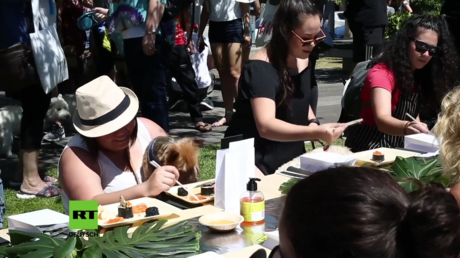 Ein Hauptgang für neun Euro - Die "Poochi Sushi Bar" bietet gehobene Küche für Hunde