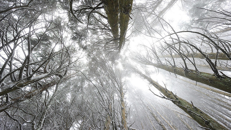 Zwei elfjährige Jungen verlaufen sich im Ural-Wald und überleben kalte Nacht unter freiem Himmel
