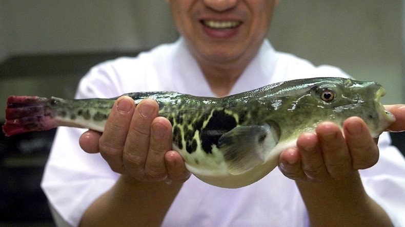 Käufer tödlichen Kugelfisches mit Zivilschutzsirenen in Japan gerettet