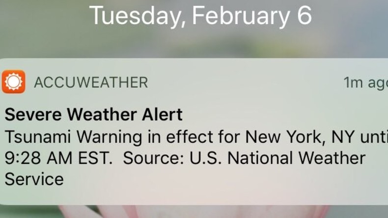 Wetter-App warnt US-Ostküste aus Versehen vor Tsunami