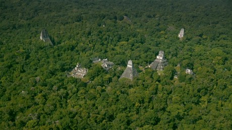Wissenschaftler entdecken Maya-Metropole in Guatemalas Dschungel