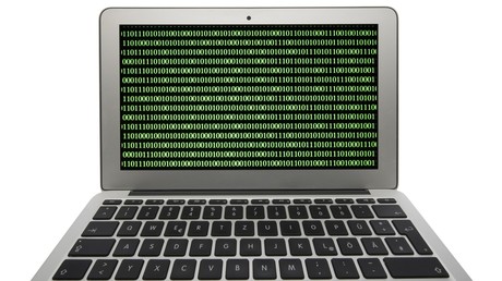 Cyberkriminelle hacken Tausende von Webseiten und gewinnen nur 24 US-Dollar