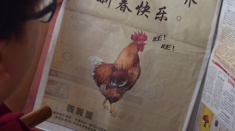 Malaysische Regierung wegen bellendem Hahn in Anzeige zum chinesischen Jahr des Hundes unter Druck