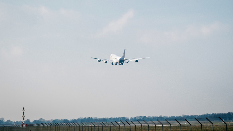 Vogelspinne in Businessklasse: Airline verweigert Entschädigung für Verspätung