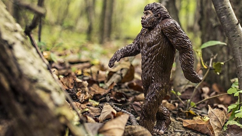 Think Big: Mutter verklagt Kalifornien auf Anerkennung der Existenz von Bigfoot