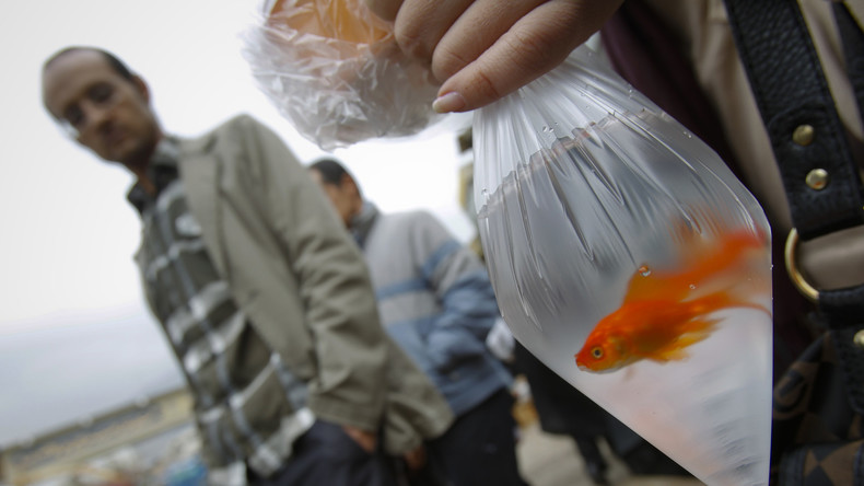 Neujahrsfest im Iran - Zwischen Sanktionen und dem drohenden Zerfall des Nuklearabkommens