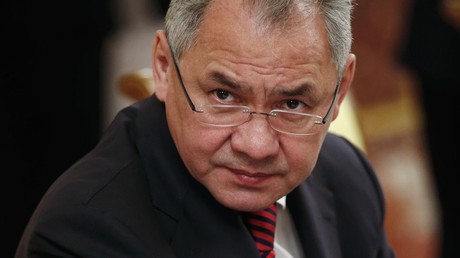 Russischer Verteidigungsminister: Unsere modernsten Waffen sind eine Sicherheitsgarantie