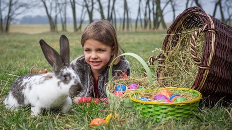 Osterhasenbüro wartet auf Post von Kindern
