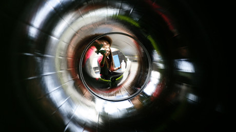 Naturschutz mit geopolitischen Folgen: Umweltverband klagt gegen Nord Stream 2