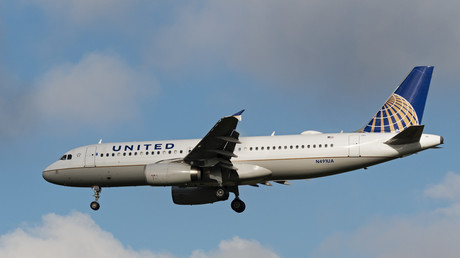 Erneut Skandal mit United Airlines: Hund stirbt im Flugzeug-Gepäckfach