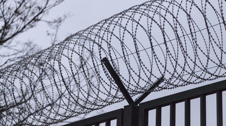 Zahl der Abschiebungen direkt aus dem Gefängnis im Jahr 2017 gestiegen