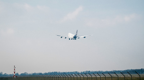 Vogelspinne in Businessklasse: Airline verweigert Entschädigung für Verspätung