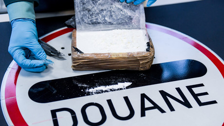 Polizei stellt 230 Kilogramm Kokain im Hafen von Rotterdam sicher