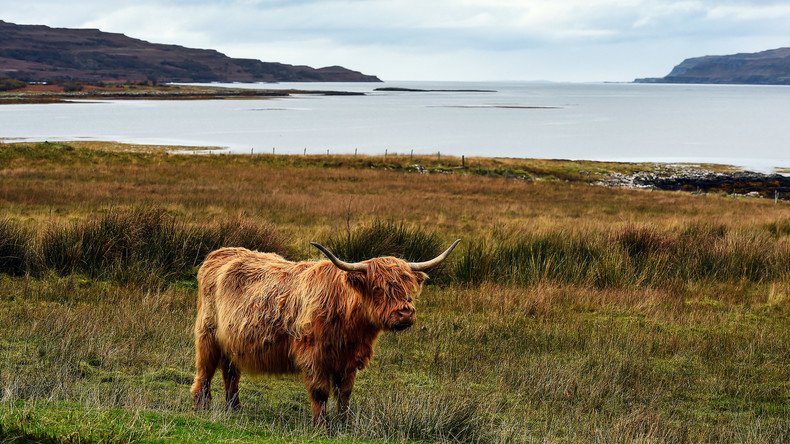 Schottland: Eine Insel steht zur Versteigerung
