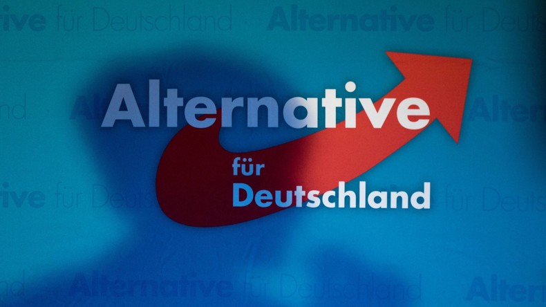 AfD-Parteispitze entscheidet sich für Desiderius-Erasmus-Stiftung