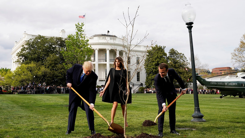 Macron und Trump pflanzen Eiche, TwitterUser lästern