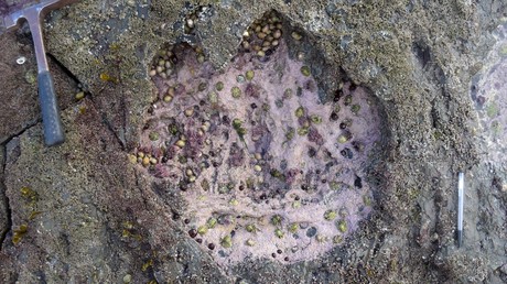 Forscher finden 170 Millionen Jahre alte Dinosaurier-Fußabdrücke