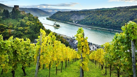 Deutsche Weinexporte nach China steigen deutlich