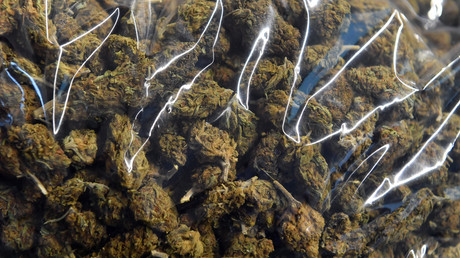 Argentinische Polizisten schieben Schuld für verschwundenes Marihuana Mäusen zu und werden gefeuert