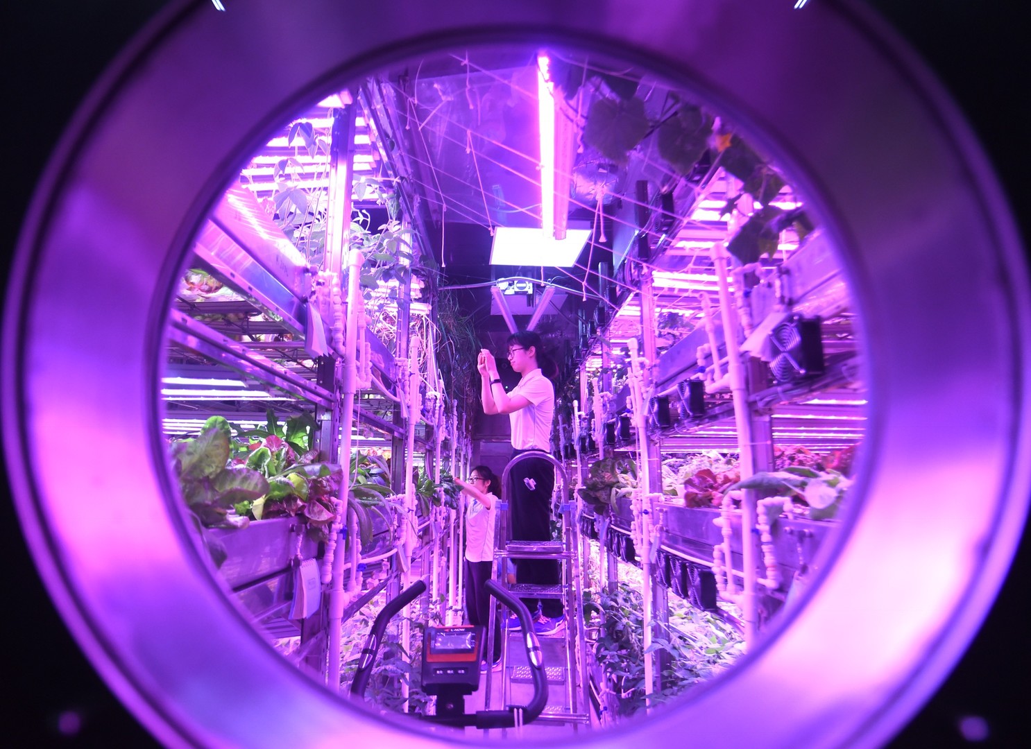 Ein Jahr unter der Glaskuppel: Experiment mit Mondbasis-Simulation in China endet mit Weltrekord