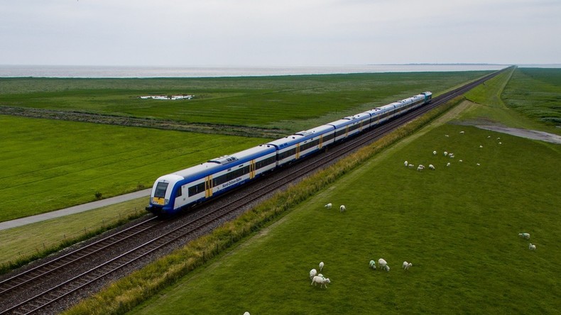 Regionalbahn rast in Schafherde in Baden-Württemberg - 45 Tiere tot