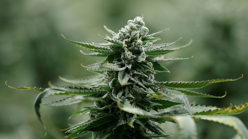 USA: Marihuana-basiertes Medikament erstmals landesweit für Markt zugelassen