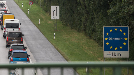 Grünes Licht für Wildschwein-Zaun an deutsch-dänischer Grenze