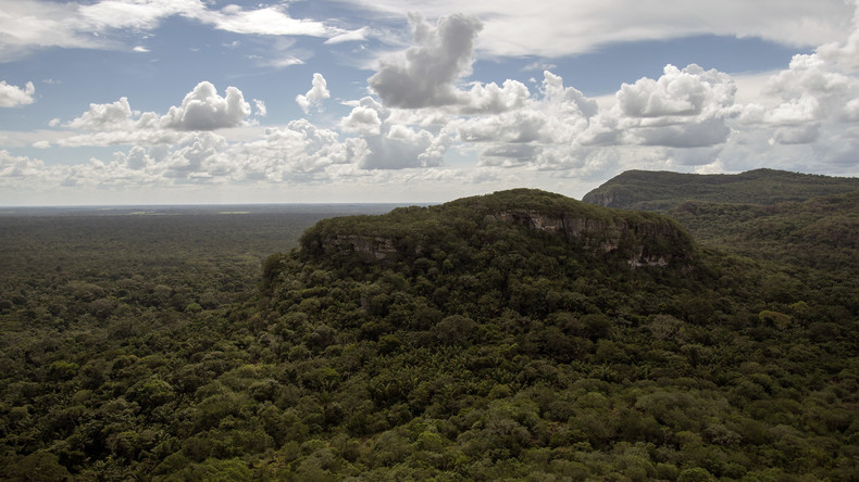 Haus des Jaguars: Kolumbien schafft größten Tropenwald-Nationalpark der Welt
