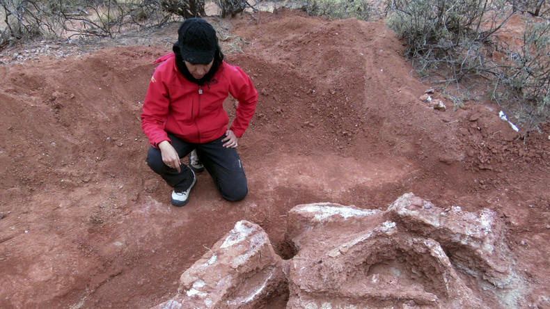 Mega-Dinosaurier in Argentinien entdeckt (Photos)