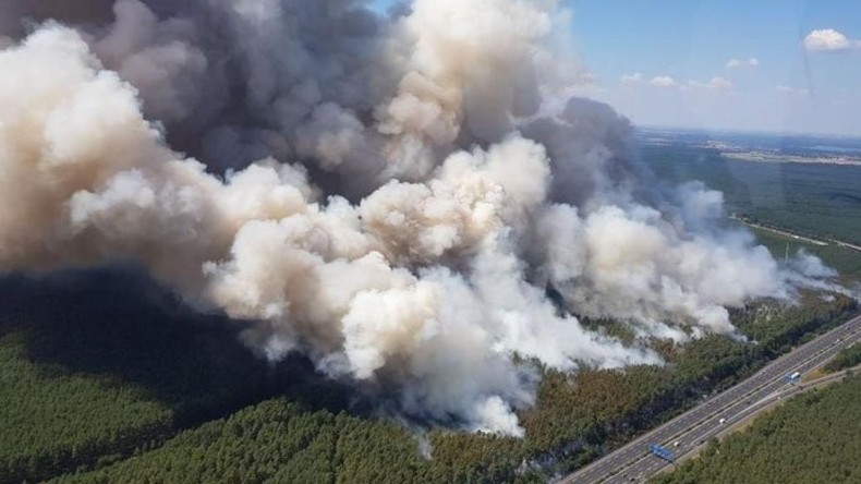 Großer Waldbrand im Raum Berlin-Brandenburg: A9 gesperrt - Evakuierung von Ortschaften vorbereitet