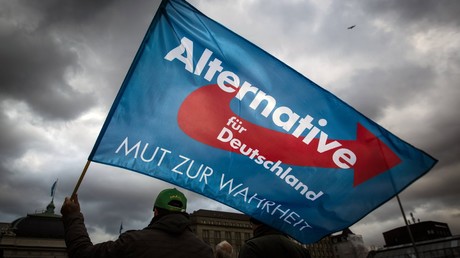 Die AfD-Außenpolitik: Zwischen Friedensdiktion und Machtprojektion