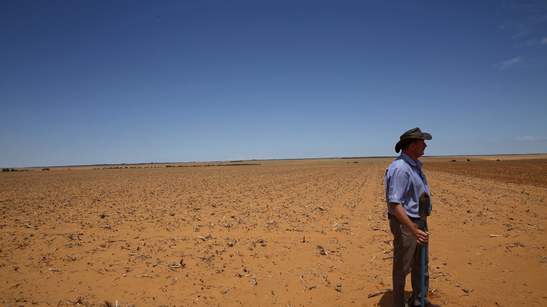 Südafrika: Ersatzlose Enteignung weißer Farmer soll in Verfassung aufgenommen werden (Video)