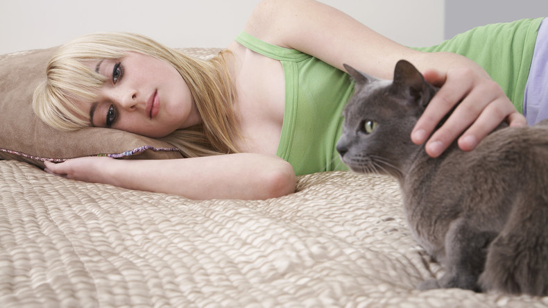 "Katze des Jahres": Kater erkennt Krankheit und rettet Frauchen das Leben, posthum ausgezeichnet