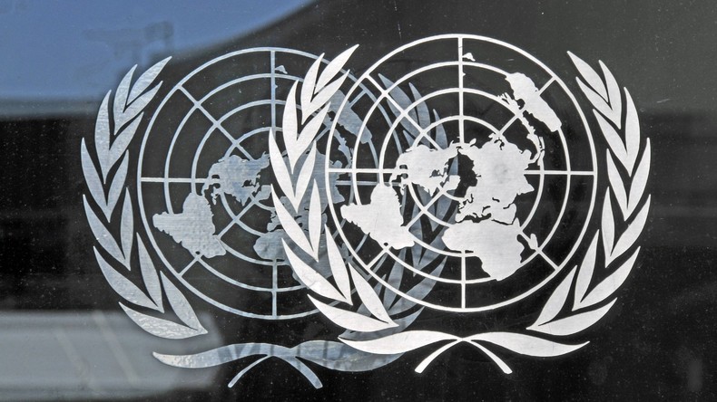 Hilfsgüterlieferung für Nordkorea trotz Sanktionen: Russlands Vorstoß in UNO gebilligt